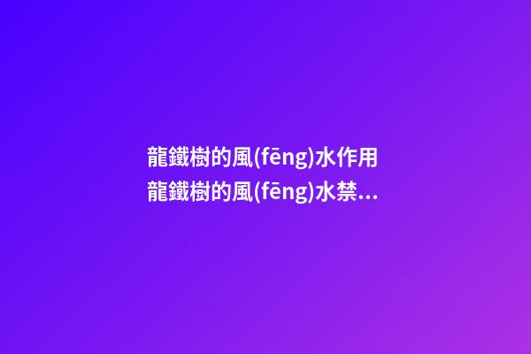 龍鐵樹的風(fēng)水作用 龍鐵樹的風(fēng)水禁忌
